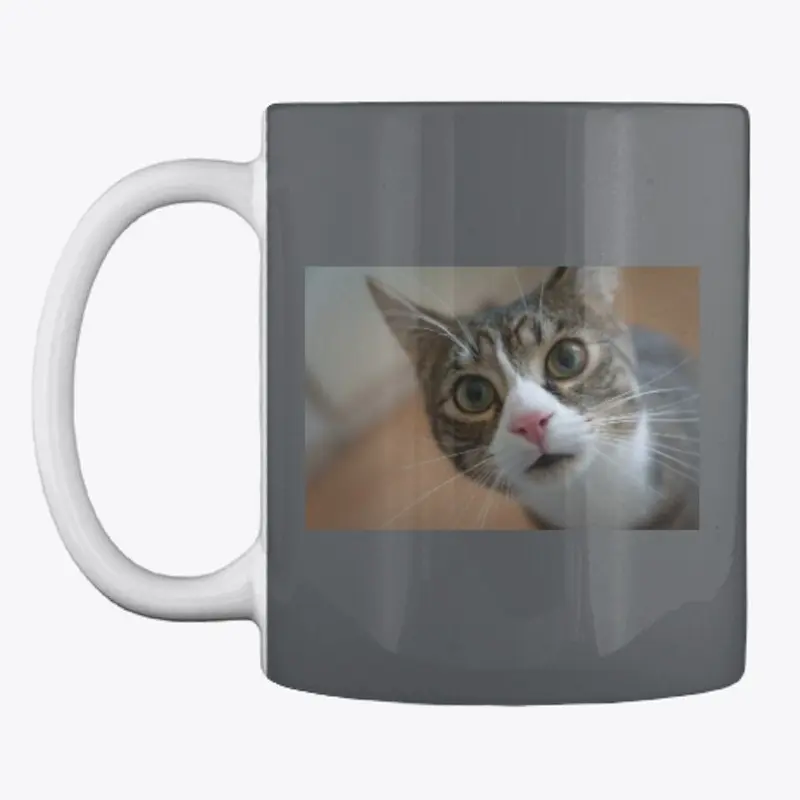 SERIOUS KITTY MUG